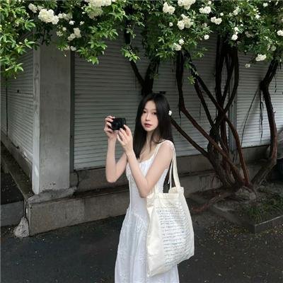 虫图腾