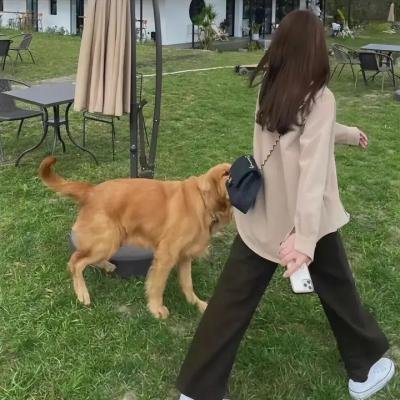 卡萨诺瓦